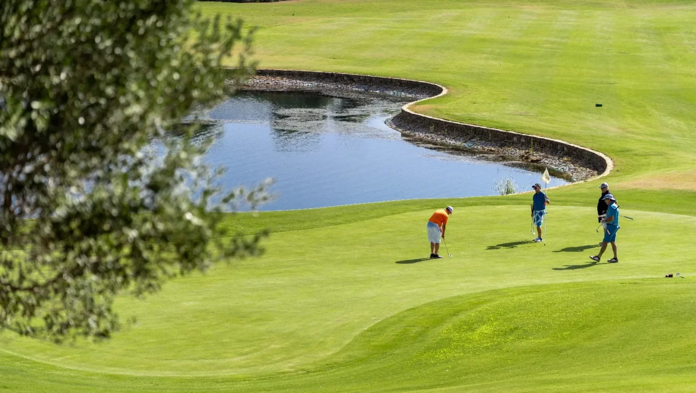 Birdwatching and Golf in Estepona in Valle Romano